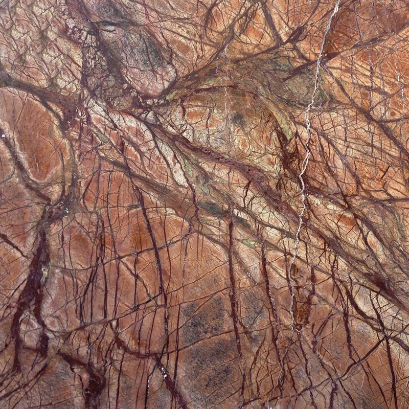 Rain Forest Brown