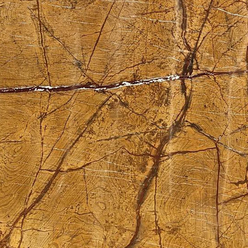 Rain Forest Gold